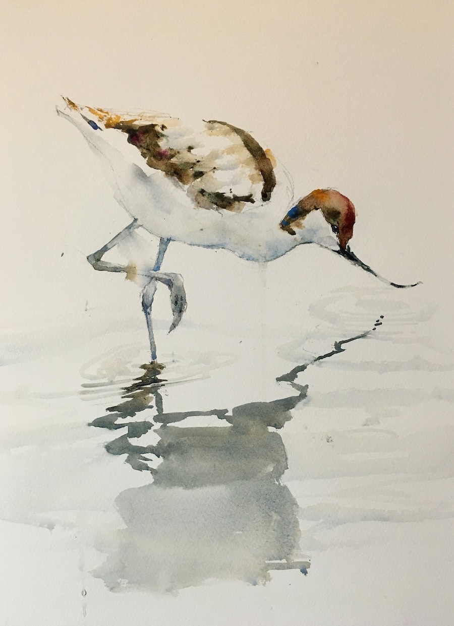 Michele Clamp Newton Watercolor Society